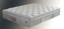 Dorma Amberlyn Classic